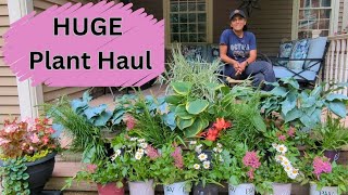 Perennial Plant Haul  FREE  Astilbe Hosta Daisies Liatris [upl. by Nahk]