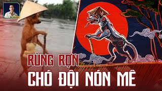 CHUYỆN BÍ ẨN CHÓ CHỐNG GẬY ĐỘI NÓN MÊ [upl. by Annahgiel]