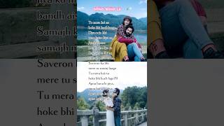 🎀Apna Bana Le 🌷Lyrics🌸 Song by Amitabh Bhattacharya Arijit Singh and Sachin–Jigar [upl. by Milah]