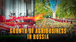 Explosive growth the Russian agroindustrial complex is breaking all records 15 new enterprises [upl. by Atinauj]