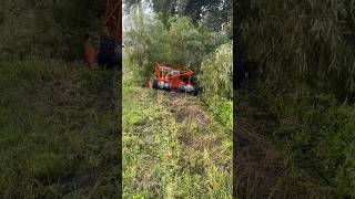 300 Dollars in 10 minutes TREX 44 Slope Mower [upl. by Amarillis109]