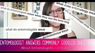 ENTOMOLOGIST ANSWERS Commonly Googled Questions About Entomology and Entomologists [upl. by Saville492]