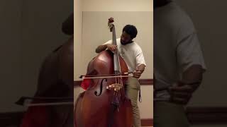 Dittersdorf  Double Bass Concerto in E Major Solo tuning  Michael Scott [upl. by Suzie564]