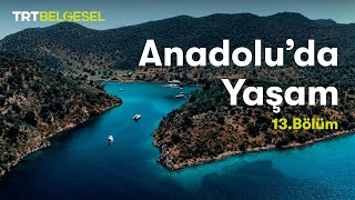 Anadoluda Yaşam  Akdeniz Bölgesi  TRT Belgesel [upl. by Googins]