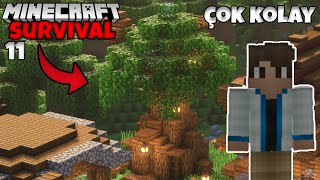 ÇOK BASİT Başlangıç için Ağaç Ev Yapımı  Minecraft 120 Survival [upl. by Nitnert]