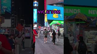 NYC Times Square at 3am ⬆️Full Video⬆️ [upl. by Orlena]