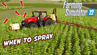 FS22 When To Spray Herbicide  Farming Simulator 22 [upl. by Meggs]