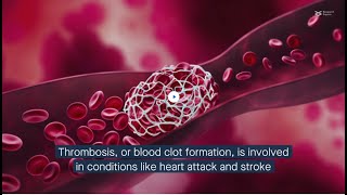 How oleic acid inhibits platelet activation to delay blood clot formation [upl. by Nichola651]