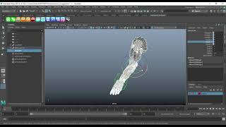 IKFK switching improvements in the ExoSwitch Constraint plugin for Maya Version 11 [upl. by Amaso]