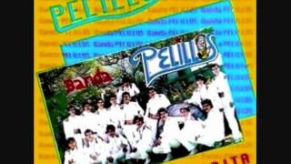 BANDA PELILLOSLINDAA [upl. by Bosson]