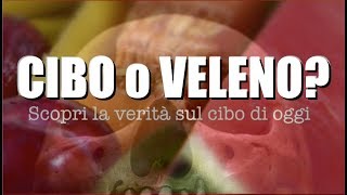 CIBO o VELENO Cosa mangiamo veramente tutti i giorni [upl. by Hcelemile]