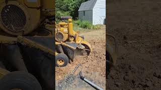 stump grinding 6 stumps vermeer 630b [upl. by Radu57]