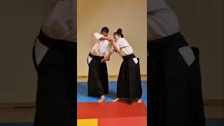 Shiho Nage  Henka Waza aikido ueshiba takemusu daitoryu budo bushido japan jujutsu [upl. by Calderon]