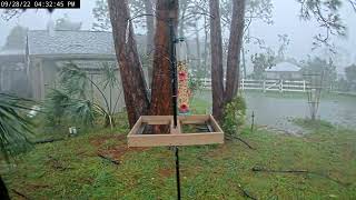 Cat 4 Hurricane Ian Video From Our Backyard Bird Feeder [upl. by Camus]