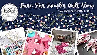 Quilt Along Introduction  Barn Star Sampler Quilt Along with Shelley Cavanna [upl. by Aicilif]