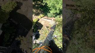 A woodchuck fishing pole treelife arborist stihl livethetreelife arbortecfw [upl. by Lona]