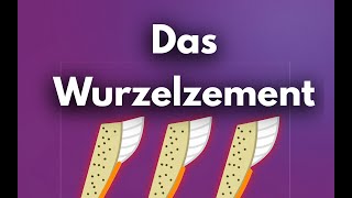 Das Wurzelzement [upl. by Assirol]