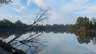 Parco dei Laghetti  Martellago VE  Veneto [upl. by Bastian]