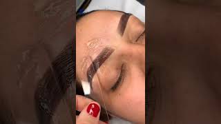 CEJAS PASO A PASO 👁️brows browlamination browlaminationmagic browtransformation browgoals [upl. by Cloots453]