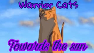 13 Warrior Cats Animator Tribute Towards The Sun [upl. by Artcele]