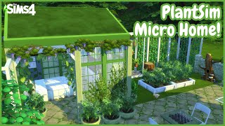 micro plantsim home  the sims 4 speed build [upl. by Craw]