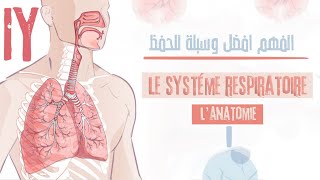 le système respiratoirelanatomie généraleلن تحتاج الى حفضه بعد هذا [upl. by Minny]