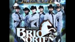 Conjunto Brio Norteno 2013 Mix [upl. by Guyer379]