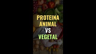 PROTEINA ANIMAL VS VEGETAL 😮✍️💯✔️🥩 [upl. by Anits901]