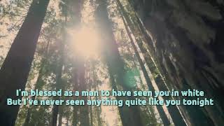 Never Seen Anything quotQuite Like Youquot LYRIC VIDEO Song by The Script [upl. by Aehsa]