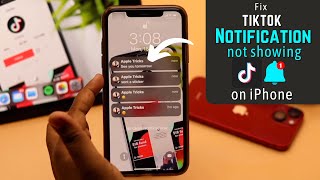 Tik Tok Notification Not Showing on iPhone FIXED [upl. by Bess107]