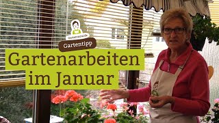 Gartenarbeiten im Januar [upl. by Fronniah923]