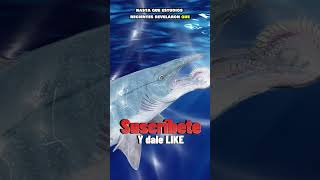 💎 El HELICOPRION El MONSTRUO que habitó el océano PÉRMICO 🌎 [upl. by Raouf]