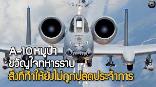 เครื่องบินสนับสนุนที่ดีที่สุดนักล่ารถถัง สิ่งที่ทำให้มันยังไม่ถูกปลดประจำการ A10 Thunderbolt II [upl. by Yerok]