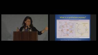 Antisynthetase Syndrome  Dr Lisa ChristopherStine TMA conference [upl. by Axe]