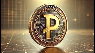 PayNet Coin vs Bitcoin Why This Crypto Lets You Sleep Easy [upl. by Phox542]