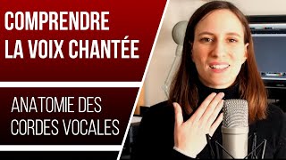 Ep 42  Comprendre la voix chantée  Anatomie des cordes vocales [upl. by Maroj]