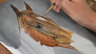 How to Paint a Horse  Acrylic painting tips [upl. by Eckblad]