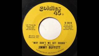 Why Dont We Get Drunk And Screw  Jimmy Buffett  Why Dont We Get Drunk And Screw [upl. by Dnomsed]