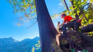 32 Falling Trees Over A Cliff  Bucking For The Helicopter [upl. by Tedmann]