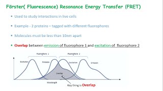 Fluorescence Resonance Energy TransferFRET  Perovskite Nanocrystal [upl. by Ahsead]