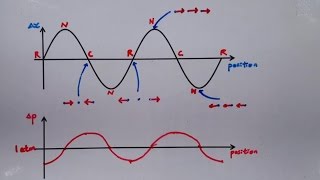 933 Graphical Representation of Wave Compression and Rarefaction [upl. by Pfeffer]