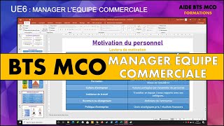 AIDE BTS MCO  Quels sont les leviers de motivation du personnel   U6 MANAGEMENT DEQUIPE [upl. by Teodoor]