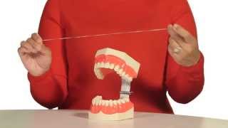 How to Floss Your Teeth [upl. by Dot]