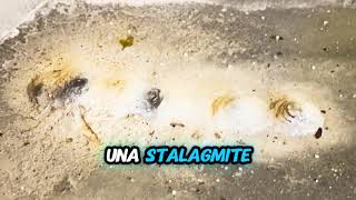 Stalattiti Le infiltrazioni dacqua causano anche questo [upl. by Elak872]