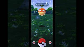 Catch Voltorb Hisuian Today in Pokemon GO Indonesia  Shorts Voltorb PokemonGOGameplay [upl. by Oeniri760]