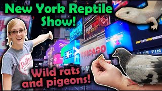 Attending the White Plains Reptile Expo New York Vlog [upl. by Ellednahs]