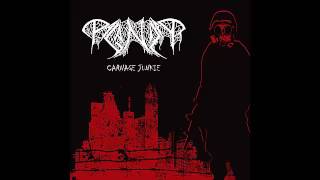 PAGANIZER  CARNAGE JUNKIE  FULL ALBUM 2008 [upl. by Swartz]