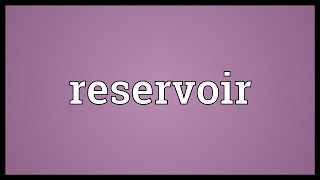 Reservoir Meaning [upl. by Hedda297]