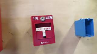 Fireshield Demo Board Test 1  90s Simplex Devices  FIRE ALARM CONTENT IS BACK [upl. by Leaper]