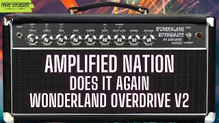 Oh My This Is Good Amplified Nation Wonderland Overdrive V2 [upl. by Adrahc]